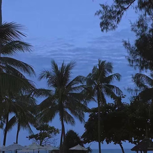 岳啊灬啊别停灬啊灬快视频
